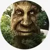 Richard Teeter - @richardteeter440 - TikTok
