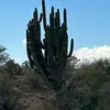 Richard Teeter - @snorasaurus67 - TikTok