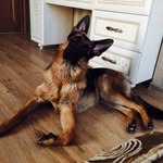 @richard._.thor - Instagram