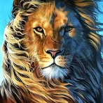Richard Thór - Facebook