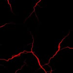 Richard Thrasher - @richardthrasher2008 - Instagram