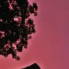Richard Thrasher - @richardthrasher0 - TikTok