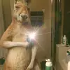 Richard Toala - @richardtoala2 - TikTok