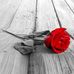 Tober Richard - Facebook