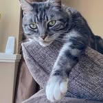 Richard Town - @richardtown7 - Instagram
