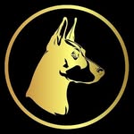 Working Dobes Richard | Doberman Trainer - @workingdobes.richard - Instagram