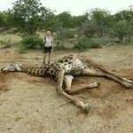 Richard Troche - @richardtroche39 - Instagram