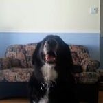 Richard Trudeau - @trudeau.richard - Instagram
