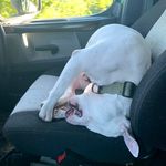 Richard Truman - @richard.truman.7146 - Instagram