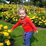 Richard Truman - @richard.truman.5 - Instagram