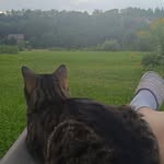 Richard Uhlig - @richard_uhg - Instagram