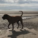 Richard Upton - @richard.upton.92 - Instagram