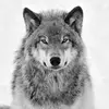Richard VALENTIN - @richard.valentin0 - TikTok