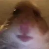 Richard Vaneveld523 - @richardvaneveld18 - TikTok