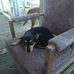 Richard Vondal - Facebook