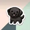 Labrador_Richard👋 - @richard_and_vara - TikTok