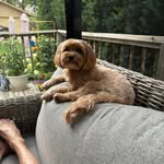 Richard Varn - @varnrichard - Instagram