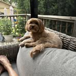 Richard Varn - Facebook