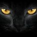 Richard Vasbinder - Facebook