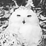 Richard Vath - @richard.vath2 - Instagram