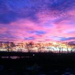 Jean-Richard Venn - @j.air_31 - Instagram