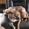 Richard Venne - @richard.venne - TikTok