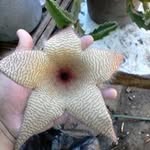 richard verde - @richardverde5955 - Instagram