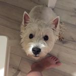Cray Grow Richard - @richard.vest_ - Instagram