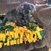 Richard Vieth - Facebook