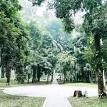 Richard Vu - @richardvuvu - Instagram