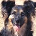 Richard Allan Vye - Facebook