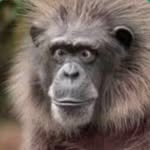 Richard Wake - @richardwake - Instagram