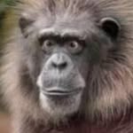 Richard Wake - @richard.wake.56 - Instagram