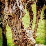 Richard Waldner - @richard.waldner.90 - Instagram