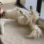 Richard Wallen - @wallen5243 - Instagram