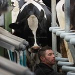 Richard Waring - @richmoocow - Instagram