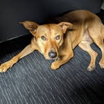 Richard Waring - @rjwaring - Instagram