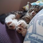 Richard Waring - @richard.waring.710 - Instagram