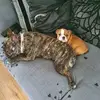 Richard Waring - @richard.waring5 - TikTok