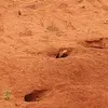 Richard Waring - @desertdriver - TikTok