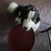 Richard Waring - Facebook