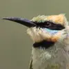 richardwaring780 - @richardwaring780 - TikTok