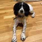 Richard Warne - @rich_warne433 - Instagram