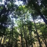 Richard Webley - @richard_webley - Instagram