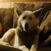 richardweidman432 - @richardweidman432 - TikTok