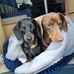 Richard Wellman - Facebook