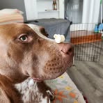 Richard Wentzel - Facebook