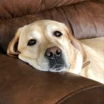 Richard Werth - @werth71 - Instagram