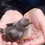 Richard Wertman - @wertmanrichard - Instagram
