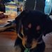 Richard Wortman - Facebook